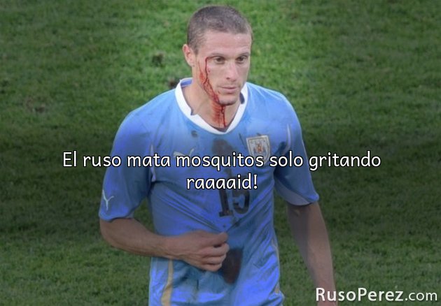 El ruso mata mosquitos solo gritando raaaaid!