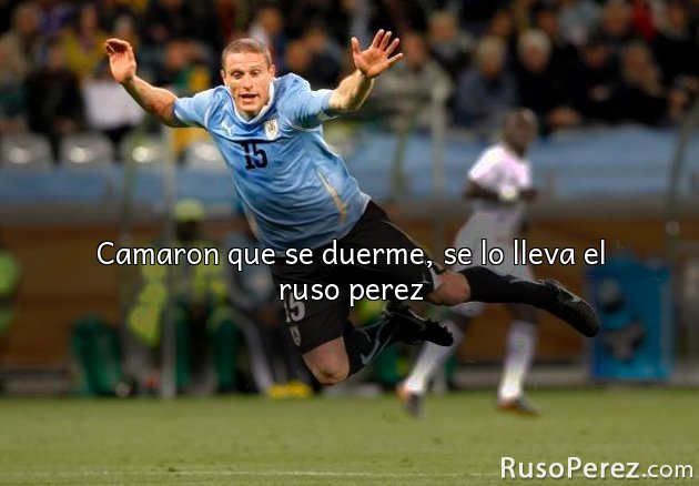 Camaron que se duerme, se lo lleva el ruso perez